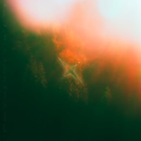 WATERCOLORS: THE EMERALD GROVE - FOXCULT