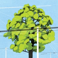 Southwood - Single - Harrison