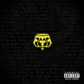 What Is Life (feat. rhys from the sticks) artwork