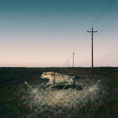 Adakor - Single