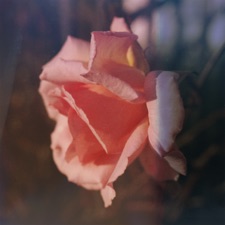Secret Garden artwork