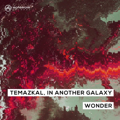 Wonder - Single