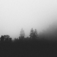 paper thin - Single - arcata