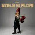 Stele Si Flori
