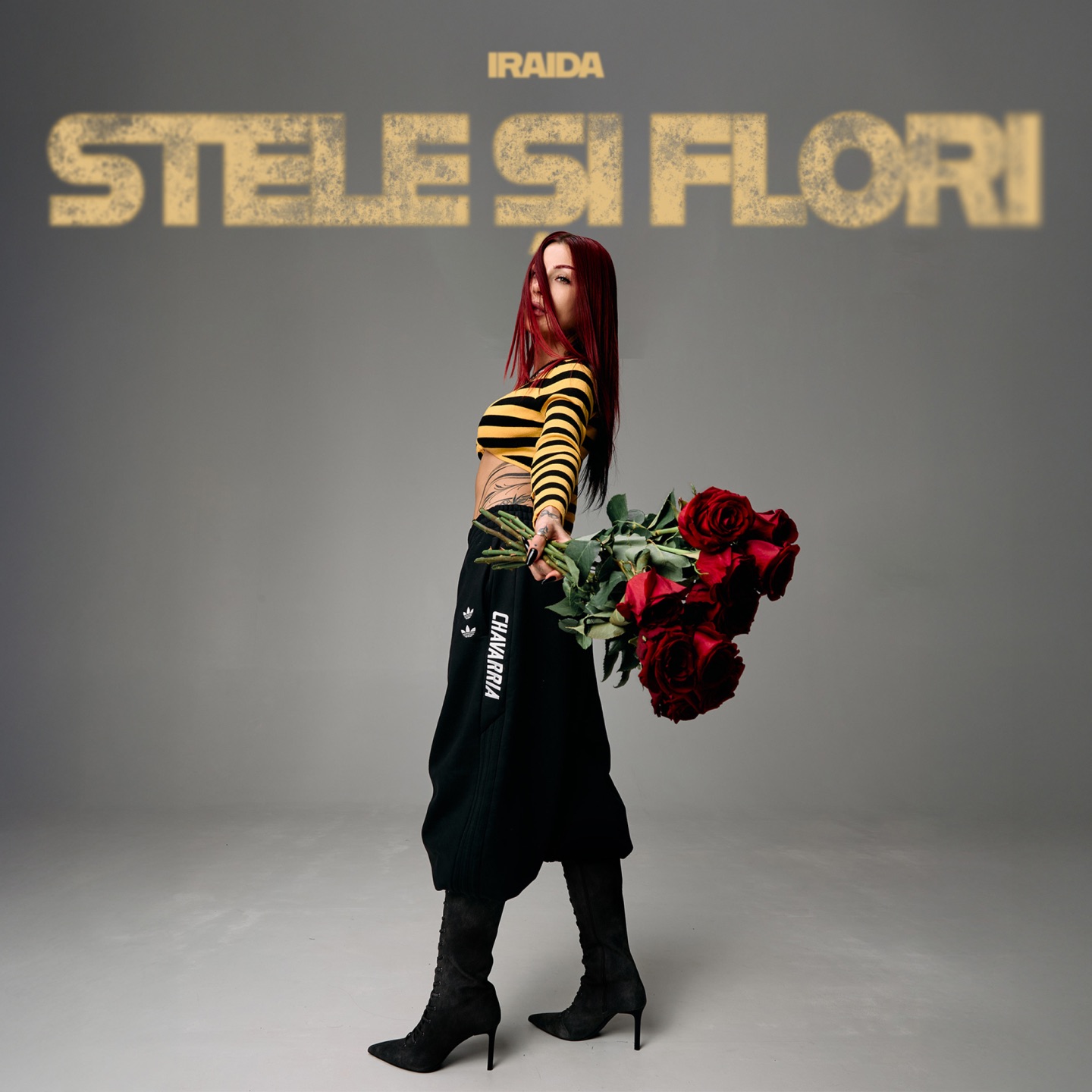 Stele si flori - Single
