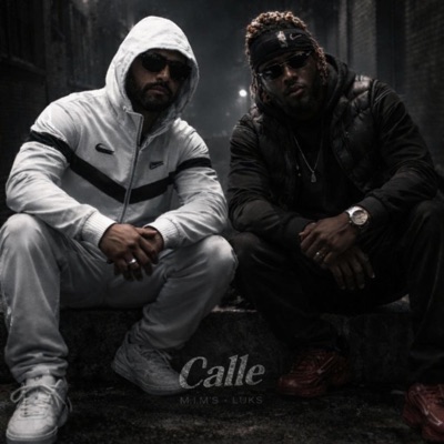 Calle (feat. Luks) - Single
