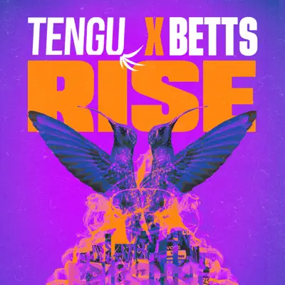Listen to Rise - Single by Tengu & Betts