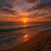 Summer Night Breeze