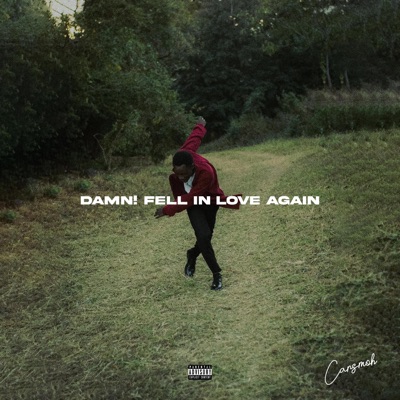 Damn! Fell in love again - Single
