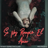 Se nos rompió el amor (feat. Tifany Espectacular) [remix] - Single - Mr Frog's