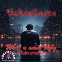 What u want baby (Instrumental) - Single - Fr3akBeatz
