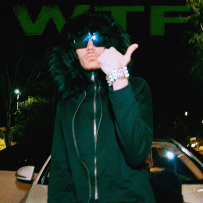 wtf (feat. 1clouty) - Single