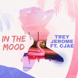 In the Mood (feat. Cjae) [Radio Edit]