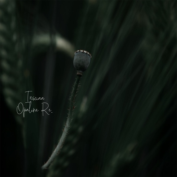 Listen to the Plant Thoughts