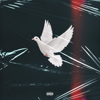 For The Birds - Single - DoLo