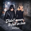 Sertzio - Didn't Mean To Fall In Love