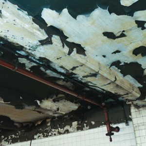 Baja Blast / Pushback - Single
