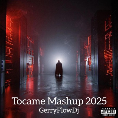 GerryFlowDj Official - Tocame - (GerryFlowDj Mashup 2025)