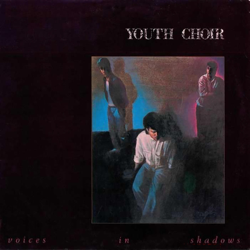 Voices In Shadows (Deluxe Edition) - The Choir Cover Art