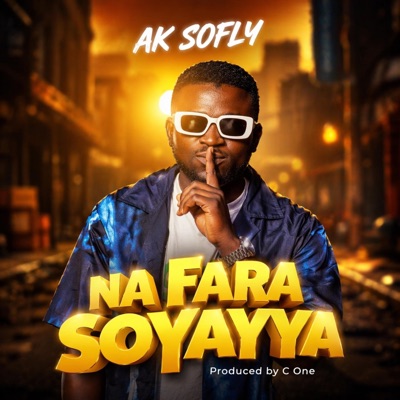 Na Fara Soyayya - Single