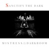 SANCTIFY the DARK (feat. Violet Orlandi) - Single