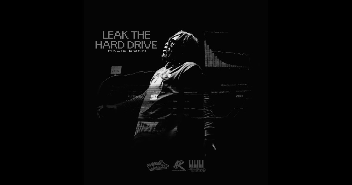 Leak The Hard Drive - Malie Donn