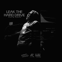 Leak The Hard Drive - Malie Donn