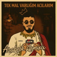 Tek Mal Varlığım Acılarım - Single - Arabesk Remixci