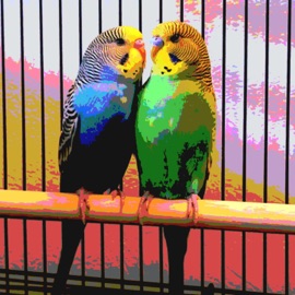 It's a Whole Other Thing Mia $oft-$erve