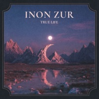 True Life - Single - Inon Zur