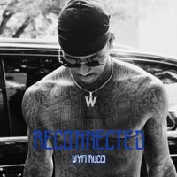 Reconnected - Single - Rootabang