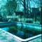 daffodill - Sunshine lyrics