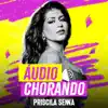 Audio Chorando