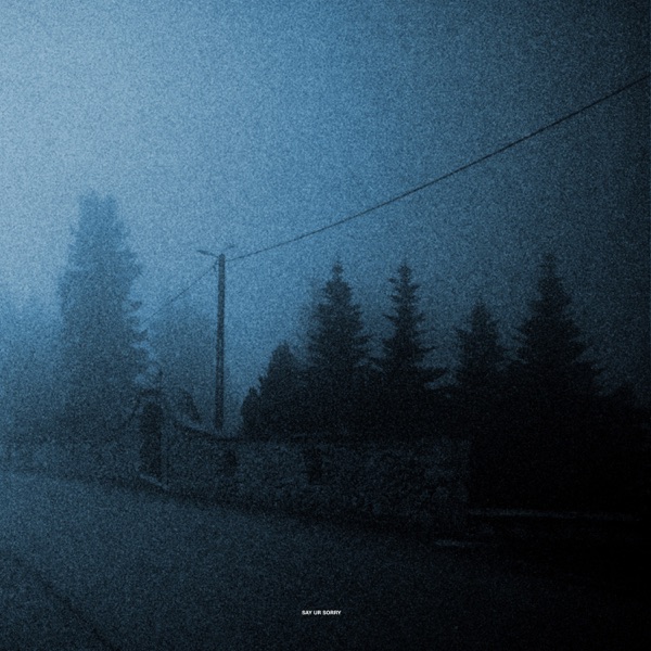 SAY UR SORRY - Single