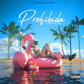 prohibida (feat. Roger Deejay) Yoyo 2MG