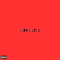 Life I Live (feat. anamay) - Single - LOWKEY