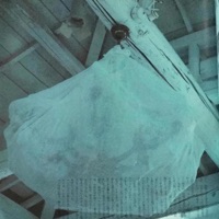 Rauch (feat. Wicca Phase Springs Eternal) - Single - sparr00w