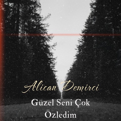 Güzel Seni Çok Özledim - Single