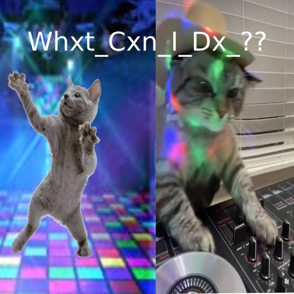 Whxt_Cxn_I_Dx??