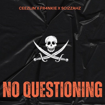 No Questioning (feat. Fr4nkie) - Single