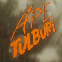 Ape tulburi (feat. Ana Coman) - Single - Ad Litteram