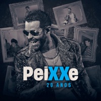 Peixxe 20 Anos - Alexandre Peixe