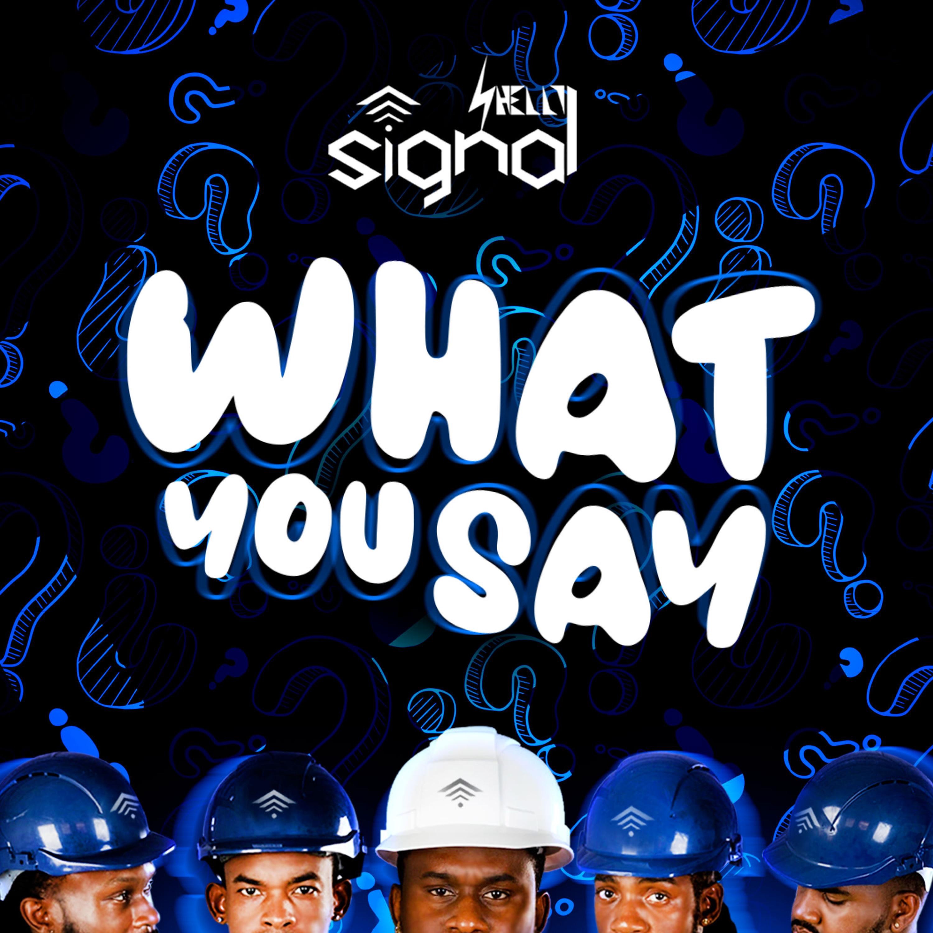 What YOU Say - Single