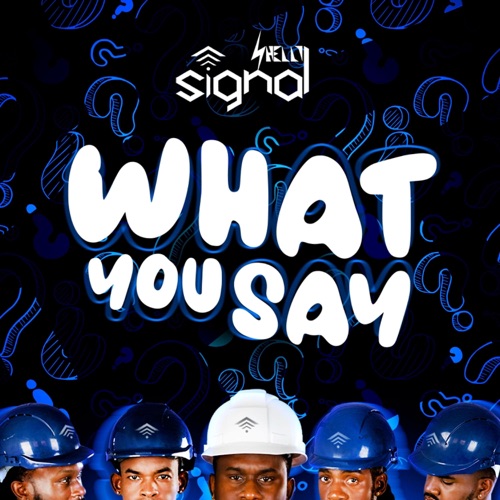 What YOU Say - Single