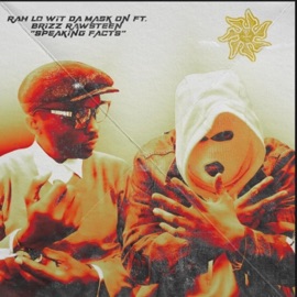 Speaking Facts (feat. Brizz Rawsteen) Rah King