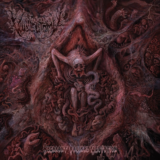 ブルデス Infernal Revulsionのアルバムセット ブルデス Infernal Revulsionのアルバムセット - メルカリ