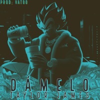 Damelo - Single - Taylor James