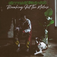 Breaking Out the Matrix - TerryTheAlchemist