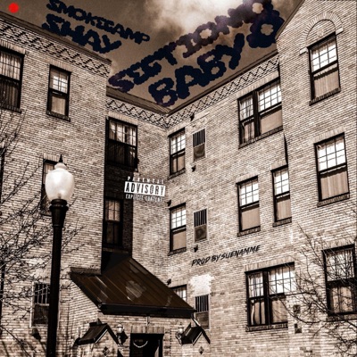 Section 8 Baby - Single