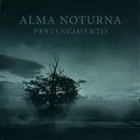 Pertencimento — Alma Noturna